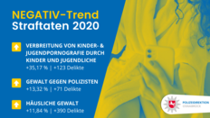 Statistik Negativ-Trend Straftaten 2020 Polizeidirektion Osnabrück