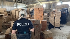 sichergestellte Feuerwerkskörper, durchsuchtung, polizeidirektion osnabrück, europol, illegales feuerwerk