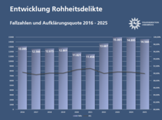 Säulendiagramm Entwicklung_Rohheitsdelikte